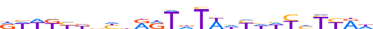 ZNF234.H13INVIVO.0.PSG.A reverse-complement motif logo (ZNF234 gene, ZN234_HUMAN protein)