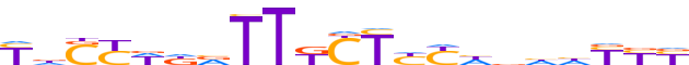 ZNF43.H13INVIVO.0.PSGI.A motif logo (ZNF43 gene, ZNF43_HUMAN protein)