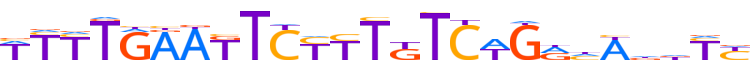 ZNF471.H13INVIVO.0.PSG.A motif logo (ZNF471 gene, ZN471_HUMAN protein)