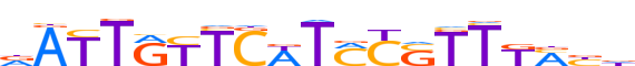 ZNF497.H13INVIVO.0.SG.D motif logo (ZNF497 gene, ZN497_HUMAN protein)