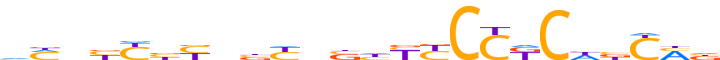 ZNF510.H13INVIVO.0.PSG.A reverse-complement motif logo (ZNF510 gene, ZN510_HUMAN protein)