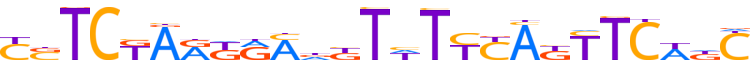 ZNF665.H13INVIVO.0.PSG.A reverse-complement motif logo (ZNF665 gene, ZN665_HUMAN protein)