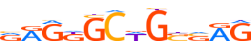 ZNF676.H13INVIVO.0.PSG.A motif logo (ZNF676 gene, ZN676_HUMAN protein)