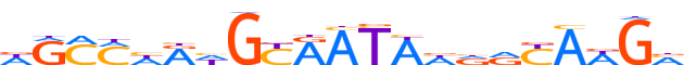 ZNF689.H13INVIVO.0.PSG.A motif logo (ZNF689 gene, ZN689_HUMAN protein)