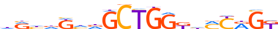 ZNF728.H13INVIVO.0.PSG.A reverse-complement motif logo (ZNF728 gene, ZN728_HUMAN protein)