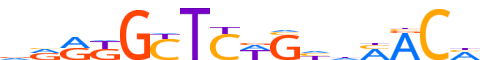 ZSC16.H13INVIVO.0.PSM.A reverse-complement motif logo (ZSCAN16 gene, ZSC16_HUMAN protein)