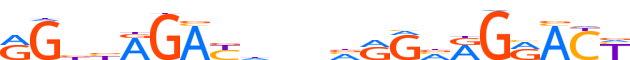 ZSCAN2.H13INVIVO.0.PG.A motif logo (ZSCAN2 gene, ZSCA2_HUMAN protein)