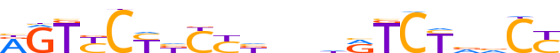 ZSCAN2.H13INVIVO.0.PG.A reverse-complement motif logo (ZSCAN2 gene, ZSCA2_HUMAN protein)