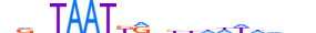 BARX1.H13INVIVO.1.S.B motif logo (BARX1 gene, BARX1_HUMAN protein)