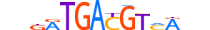 BATF3.H13INVIVO.2.SM.B motif logo (BATF3 gene, BATF3_HUMAN protein)