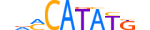 BHA15.H13INVIVO.1.SM.B motif logo (BHLHA15 gene, BHA15_HUMAN protein)