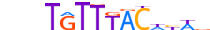 FOXA2.H13INVIVO.0.PSM.A motif logo (FOXA2 gene, FOXA2_HUMAN protein)