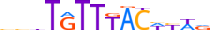 FOXA3.H13INVIVO.0.PS.A motif logo (FOXA3 gene, FOXA3_HUMAN protein)