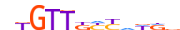 FOXJ2.H13INVIVO.0.PSM.A motif logo (FOXJ2 gene, FOXJ2_HUMAN protein)