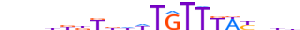 FOXJ2.H13INVIVO.2.S.B motif logo (FOXJ2 gene, FOXJ2_HUMAN protein)