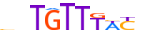 FOXK1.H13INVIVO.0.PS.A motif logo (FOXK1 gene, FOXK1_HUMAN protein)