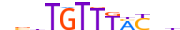 FOXK2.H13INVIVO.0.P.B motif logo (FOXK2 gene, FOXK2_HUMAN protein)