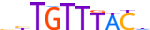 FOXO3.H13INVIVO.0.PS.A motif logo (FOXO3 gene, FOXO3_HUMAN protein)