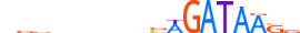 GATA1.H13INVIVO.0.P.B motif logo (GATA1 gene, GATA1_HUMAN protein)