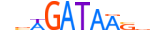 GATA1.H13INVIVO.1.PSM.A motif logo (GATA1 gene, GATA1_HUMAN protein)