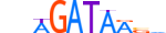 GATA2.H13INVIVO.0.PSM.A motif logo (GATA2 gene, GATA2_HUMAN protein)