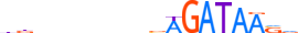 GATA2.H13INVIVO.1.P.B motif logo (GATA2 gene, GATA2_HUMAN protein)