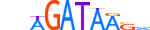 GATA4.H13INVIVO.0.PSM.A motif logo (GATA4 gene, GATA4_HUMAN protein)