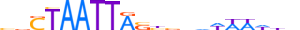 GBX1.H13INVIVO.1.S.D motif logo (GBX1 gene, GBX1_HUMAN protein)