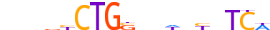 HAND2.H13INVIVO.0.P.B motif logo (HAND2 gene, HAND2_HUMAN protein)