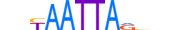 HME1.H13INVIVO.0.PSM.A motif logo (EN1 gene, HME1_HUMAN protein)