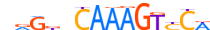 HNF4A.H13INVIVO.0.PSM.A motif logo (HNF4A gene, HNF4A_HUMAN protein)