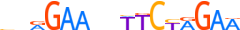 HSF1.H13INVIVO.0.PSM.A motif logo (HSF1 gene, HSF1_HUMAN protein)