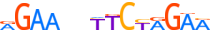 HSF2.H13INVIVO.0.PSM.A motif logo (HSF2 gene, HSF2_HUMAN protein)