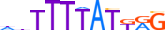 HXA13.H13INVIVO.0.P.B motif logo (HOXA13 gene, HXA13_HUMAN protein)