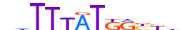 HXA9.H13INVIVO.2.P.B motif logo (HOXA9 gene, HXA9_HUMAN protein)