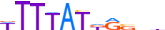 HXB13.H13INVIVO.0.PS.A motif logo (HOXB13 gene, HXB13_HUMAN protein)