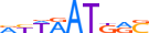 HXB4.H13INVIVO.1.PSM.A motif logo (HOXB4 gene, HXB4_HUMAN protein)