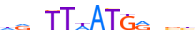 HXD11.H13INVIVO.0.PS.A motif logo (HOXD11 gene, HXD11_HUMAN protein)