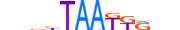 ISL1.H13INVIVO.0.PSM.A motif logo (ISL1 gene, ISL1_HUMAN protein)