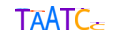 LEUTX.H13INVIVO.0.PSGB.A motif logo (LEUTX gene, LEUTX_HUMAN protein)