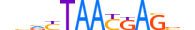 LHX6.H13INVIVO.2.M.C motif logo (LHX6 gene, LHX6_HUMAN protein)