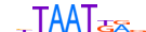 LHX9.H13INVIVO.0.PS.A motif logo (LHX9 gene, LHX9_HUMAN protein)