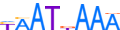 LMX1B.H13INVIVO.0.P.C motif logo (LMX1B gene, LMX1B_HUMAN protein)