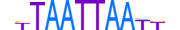 LMX1B.H13INVIVO.1.SM.B motif logo (LMX1B gene, LMX1B_HUMAN protein)