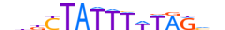 MEF2D.H13INVIVO.0.PS.A motif logo (MEF2D gene, MEF2D_HUMAN protein)