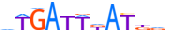 MEIS1.H13INVIVO.0.P.B motif logo (MEIS1 gene, MEIS1_HUMAN protein)