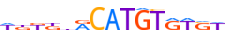 NACC2.H13INVIVO.0.PSGIB.A motif logo (NACC2 gene, NACC2_HUMAN protein)