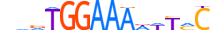 NFAT5.H13INVIVO.1.PS.A motif logo (NFAT5 gene, NFAT5_HUMAN protein)