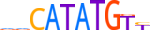 NGN2.H13INVIVO.1.SM.B motif logo (NEUROG2 gene, NGN2_HUMAN protein)