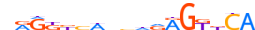 NR1I3.H13INVIVO.0.P.B motif logo (NR1I3 gene, NR1I3_HUMAN protein)